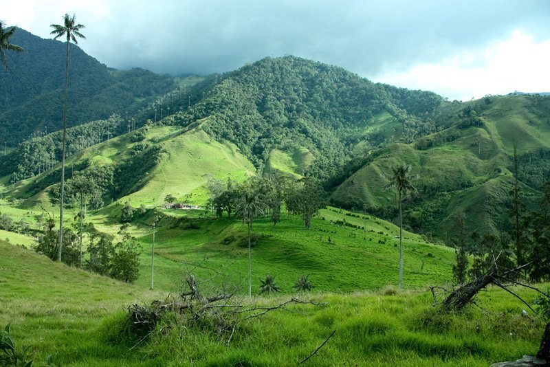 Долина Кокора - Колумбия