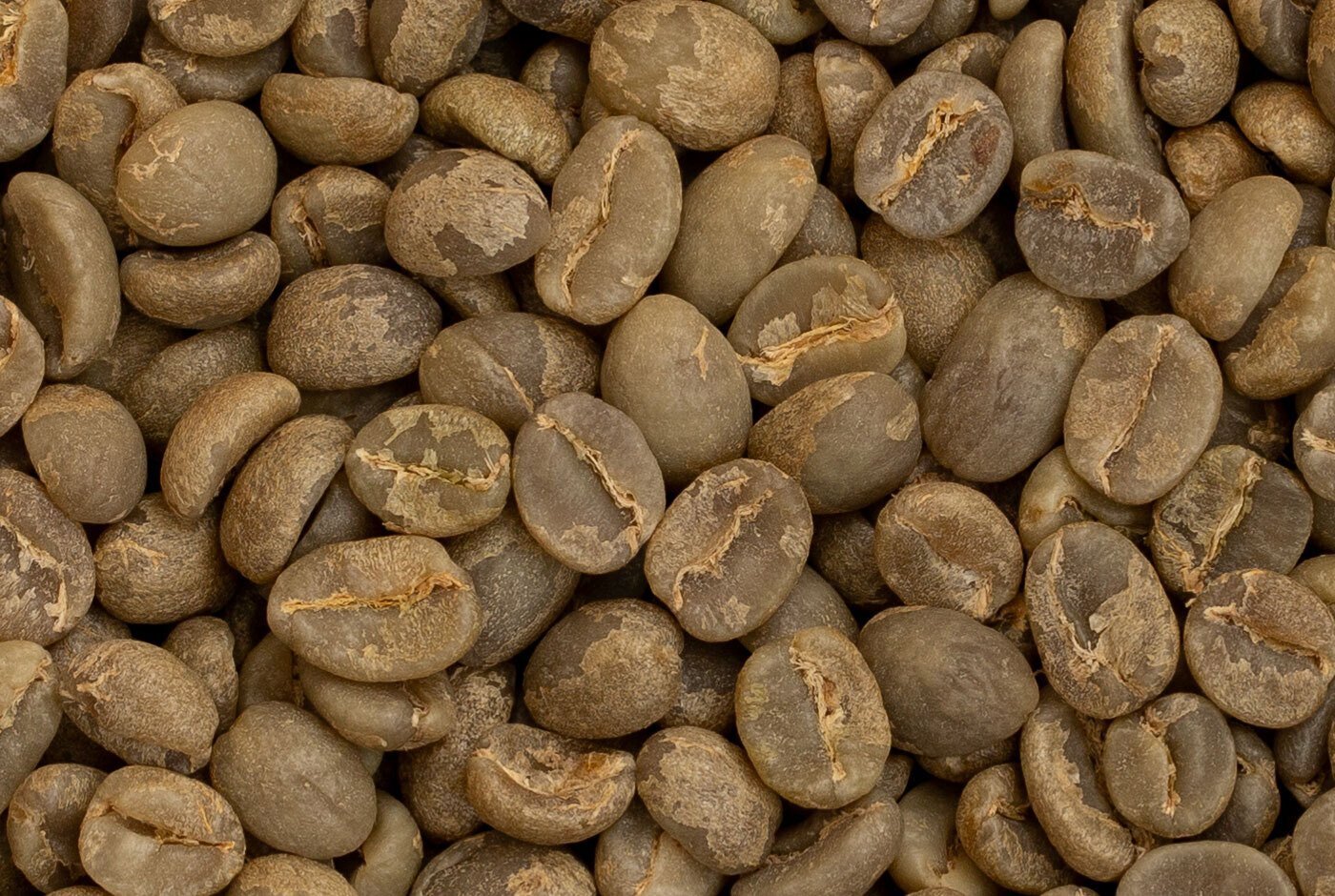 Кения Спайкс АБ фото Кения Спайкс АБ зеленый кофе