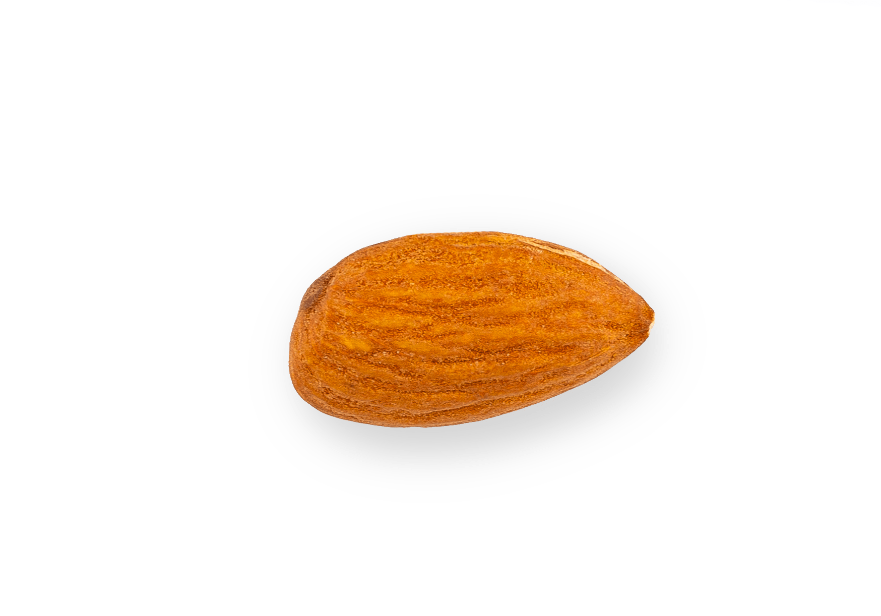 Миндаль Миндаль