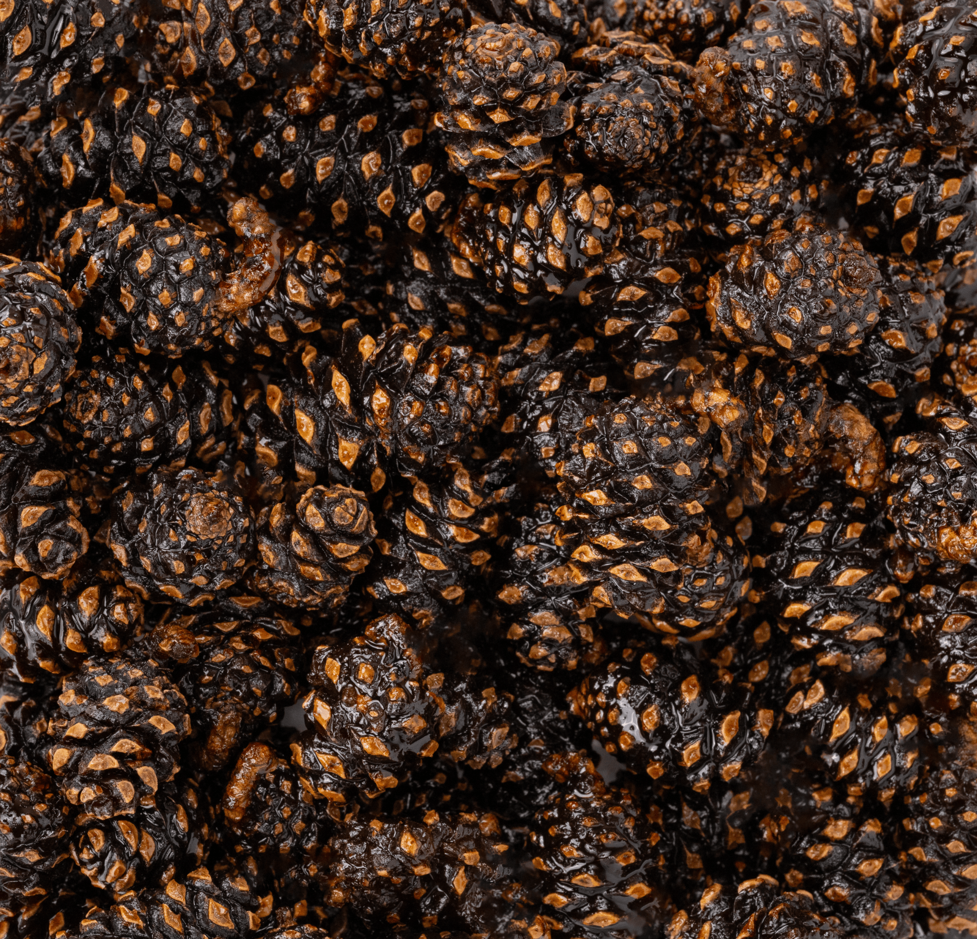 Сосновые шишки Россия, Алтай свежеобжаренный кофе