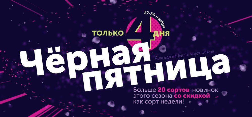 Готовимся к Чёрной пятнице!