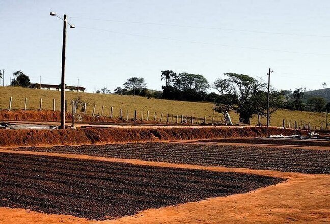 Бразилия: мелкий фермер производит кофе натуральной обработки – блог обжарщиков Torrefacto