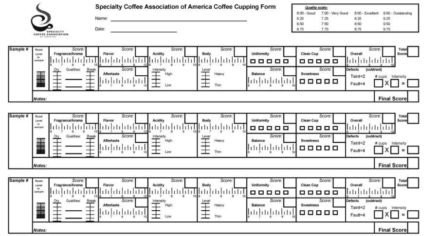 Инструкция покупателя: как выбрать кофе в Торрефакто
