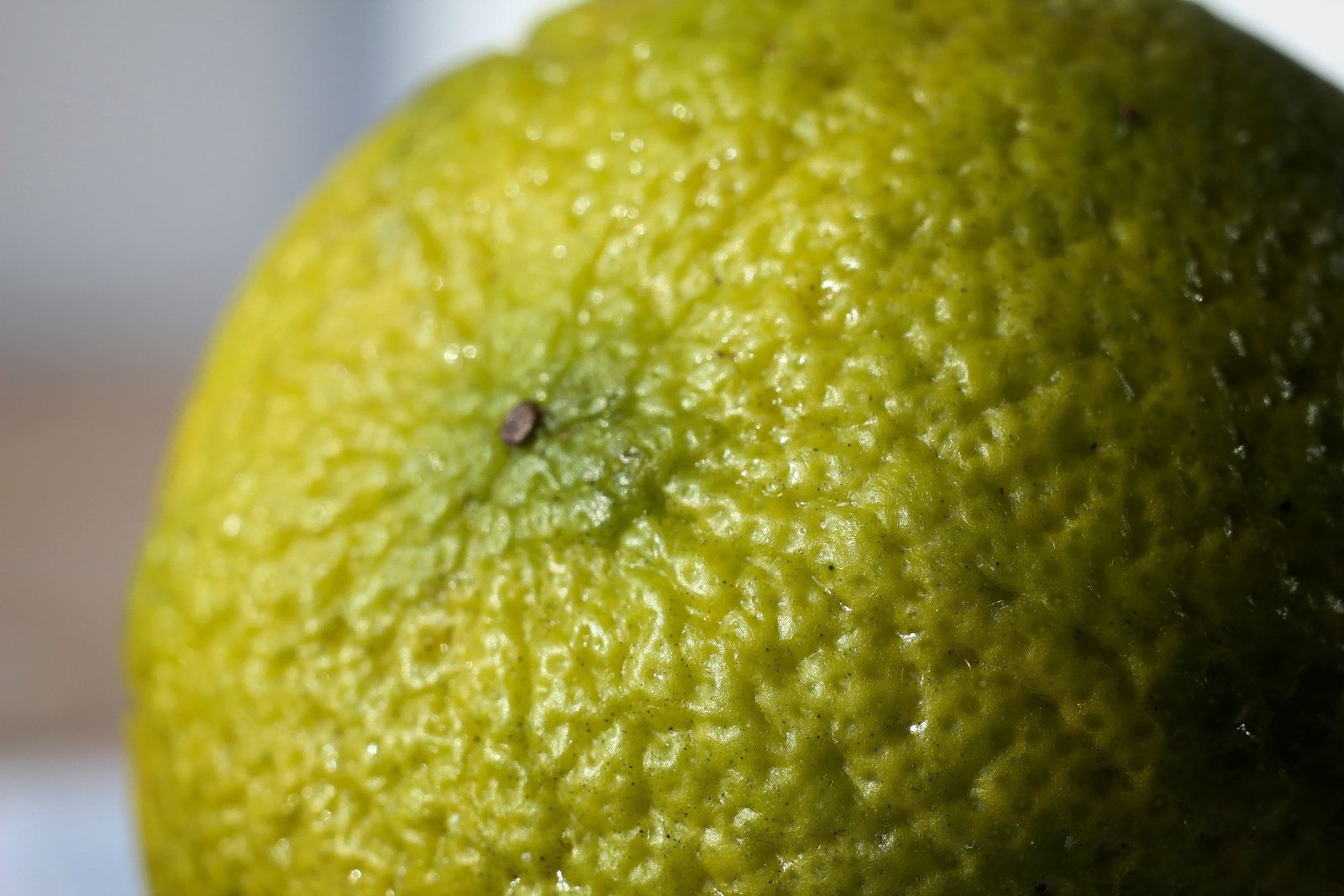 13 способов «починить» ваш кофе 13 способов «починить» ваш кофе