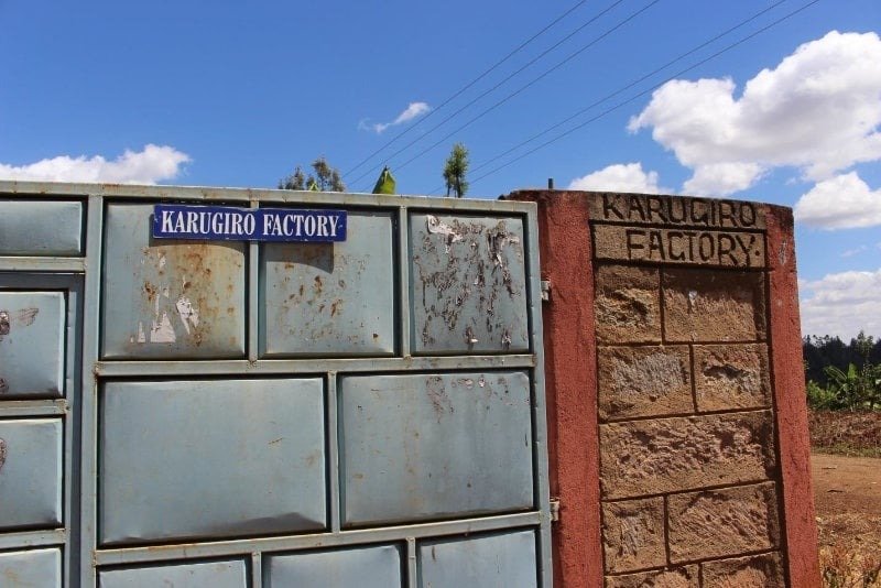 Кения Каругиро АБ Кения Каругиро АБ