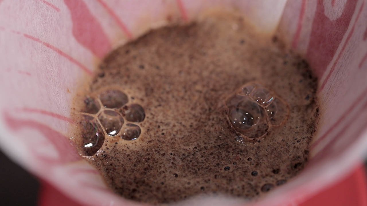 Приготовление кофе в пуровере. Шаг 8 − Если зерно свежей обжарки, вы увидите активные пузыри на поверхности воды. Из кофе высвобождается углекислый газ. Этот процесс называтся «цветением» (blooming);