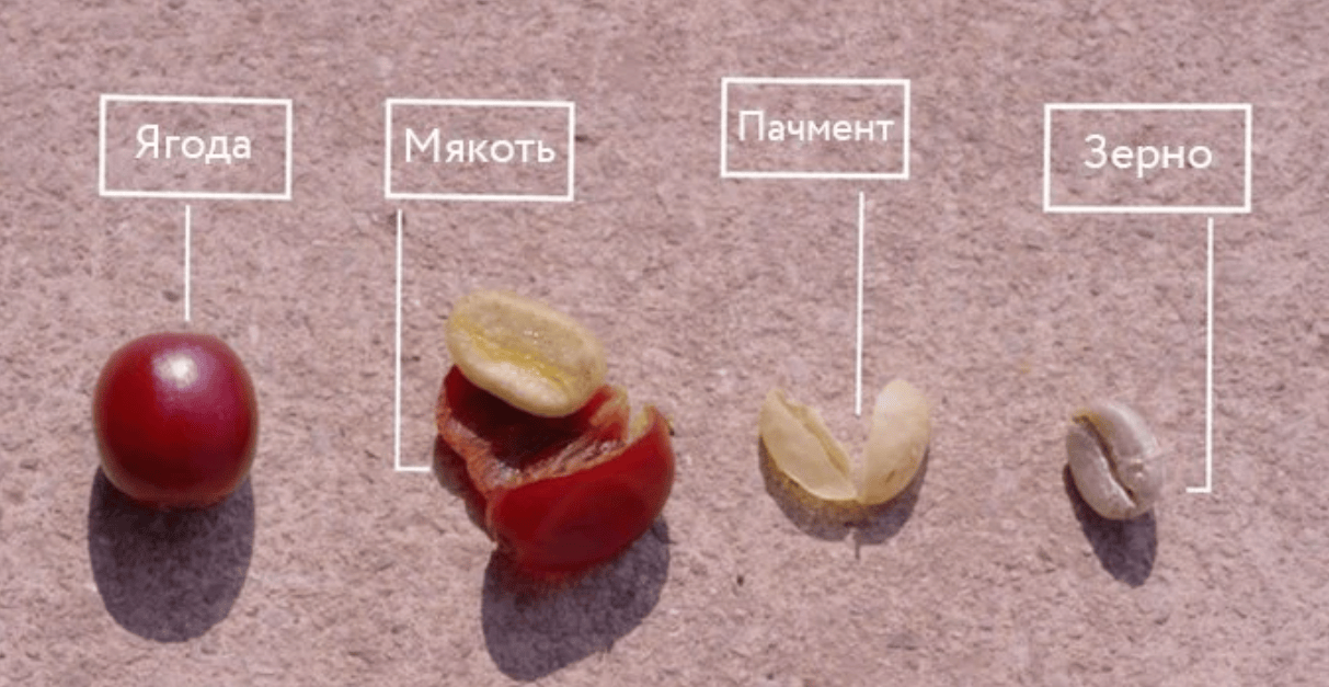 5 полезных подарков для любителей кофе 5 полезных подарков для любителей кофе