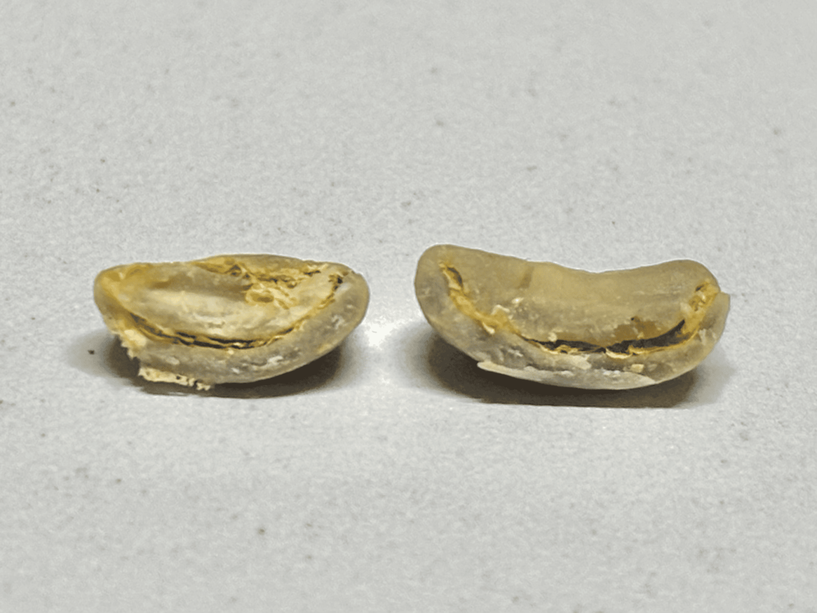 Какую Бразилию выбрать? Разбираемся с нашим Q-грейдером