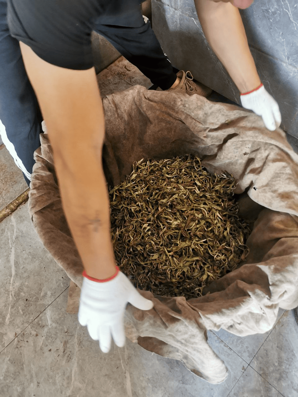 Классификация китайского чая