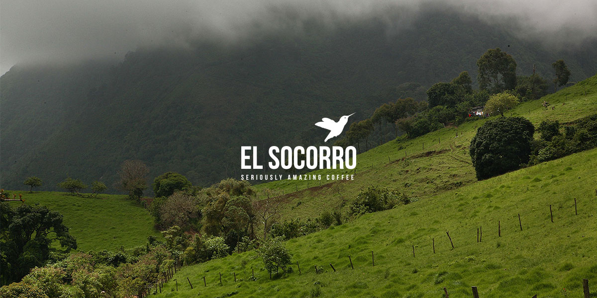 Гватемала маракатурра Эль-Сокорро