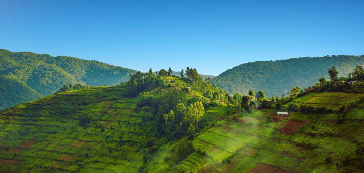 Руанда Нгорореро