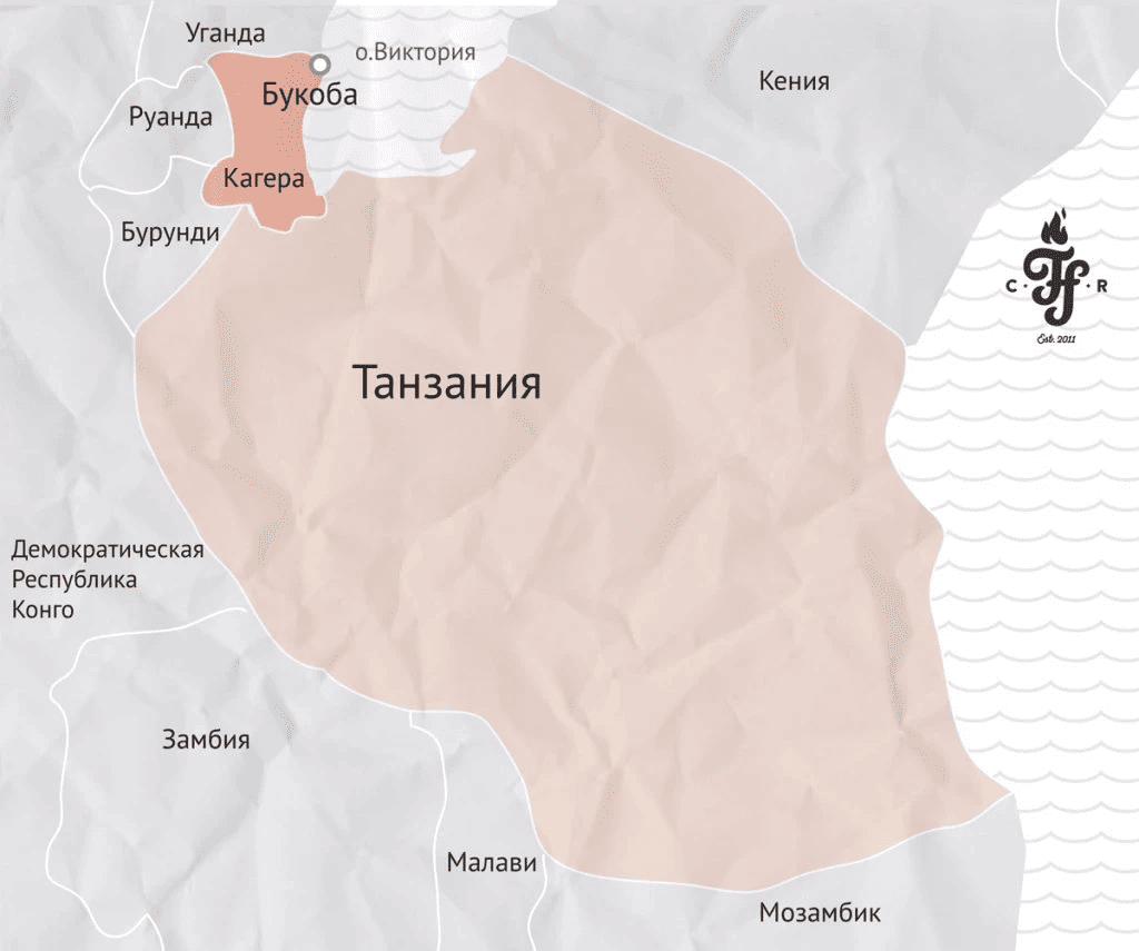 Танзания робуста Танзания робуста