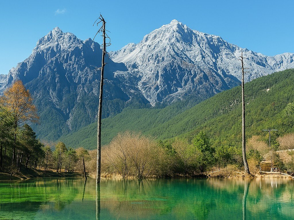 Я Бао Я Бао