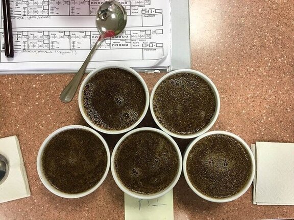 Вводный курс Q-грейдера: как мы раскладывали вкус и аромат кофе по полочкам