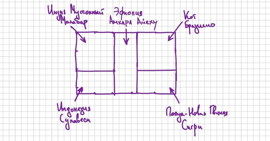 Дрип-пакеты Муссонная ночь