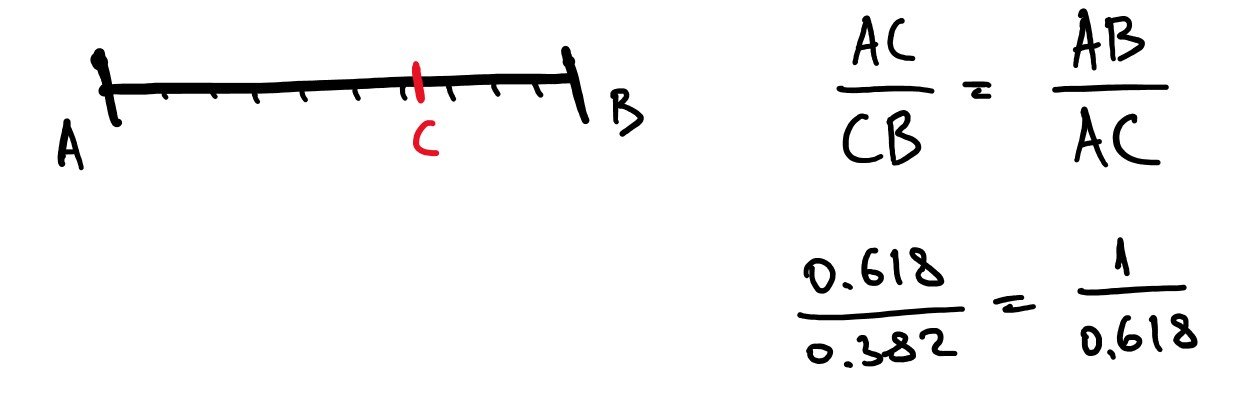 Кот Бразилио