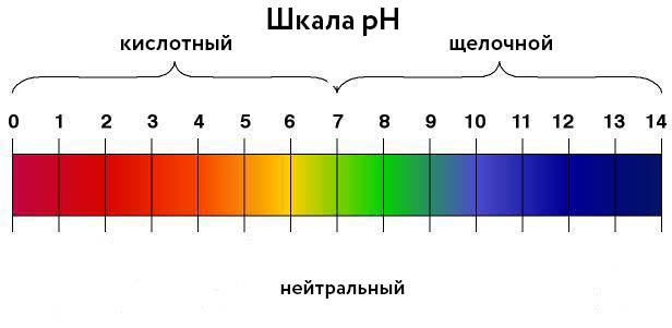 Что такое «кислинка» в кофе? Что такое «кислинка» в кофе?