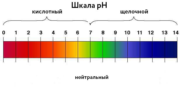 Что такое «кислинка» в кофе?