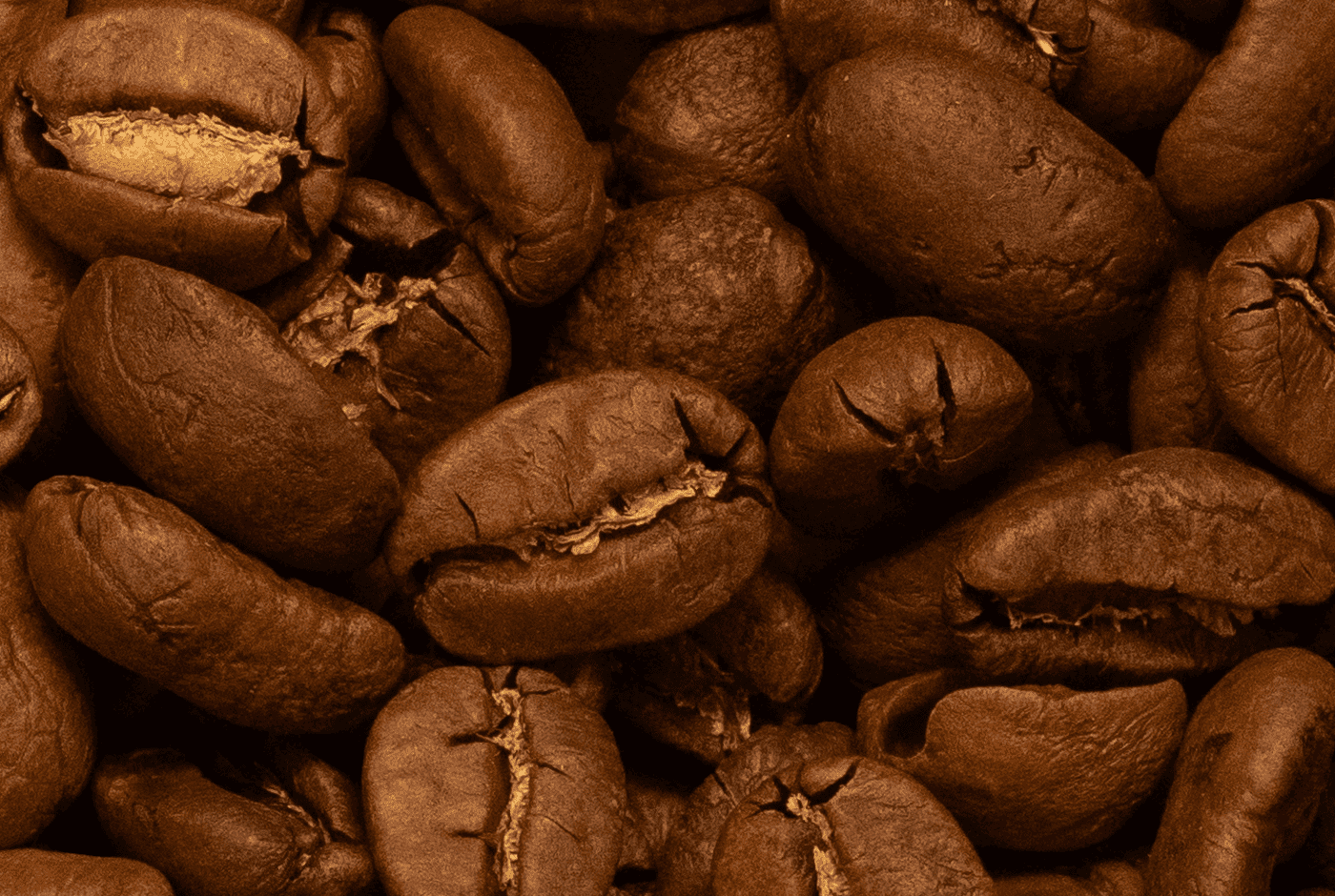 Сорта кофе: сколько их существует и какие самые популярные Сорта кофе: сколько их существует и какие самые популярные