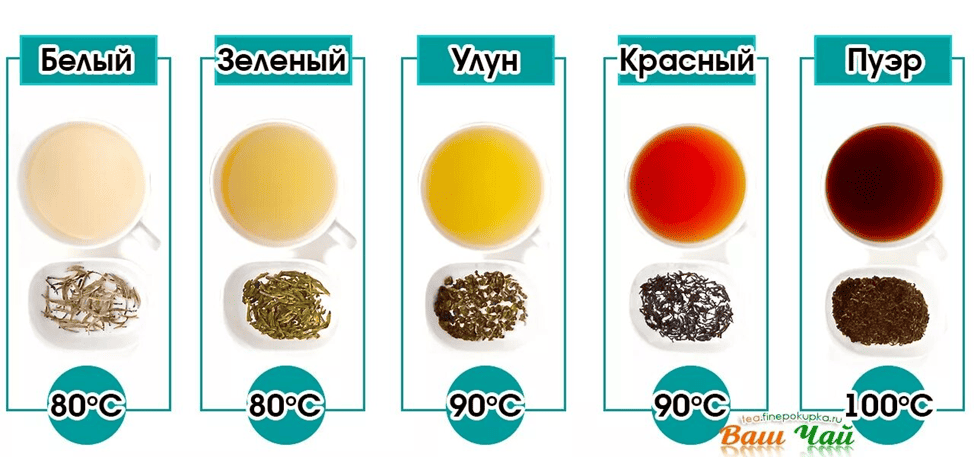 Мифы о чае: разоблачение заблуждений и неожиданные факты Мифы о чае: разоблачение заблуждений и неожиданные факты
