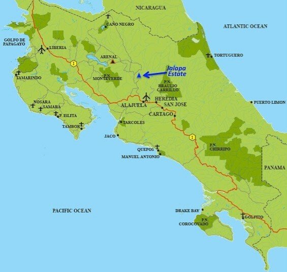 Коста-Рика Халапа хани