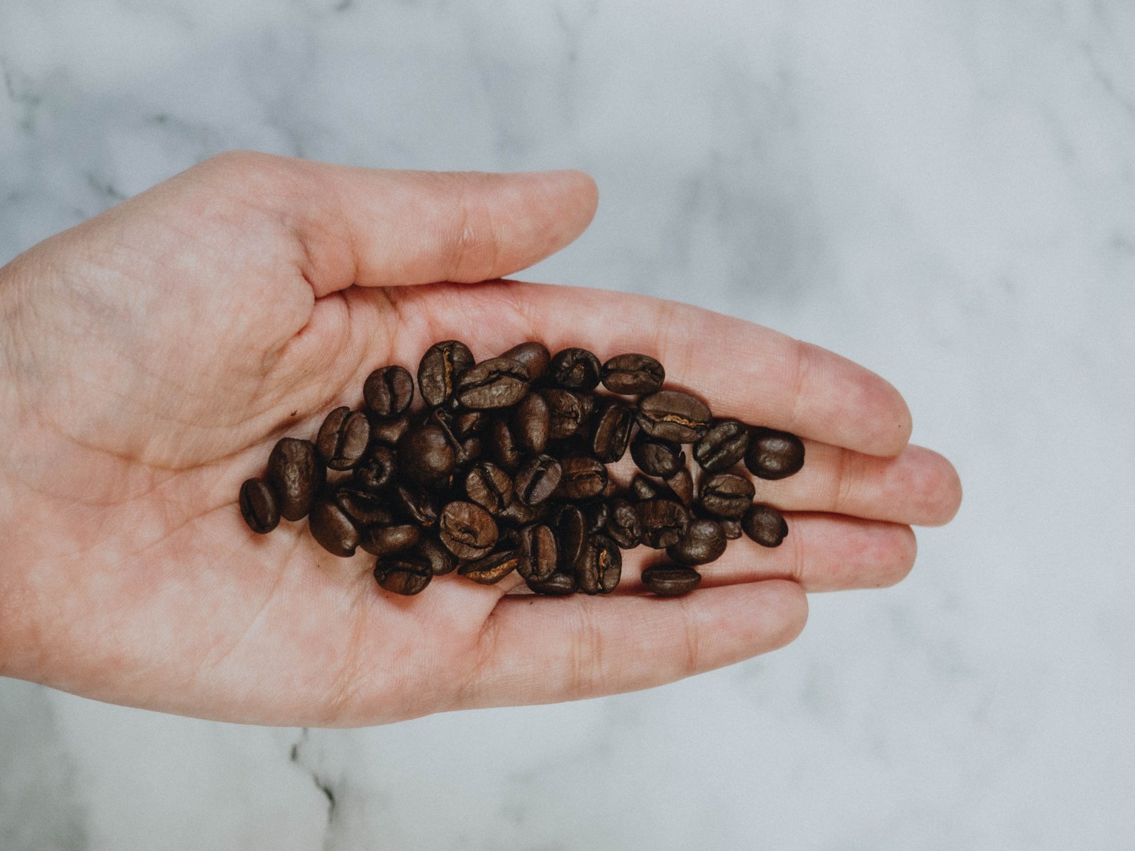 Робуста: низкосортный кофе или продукт будущего?