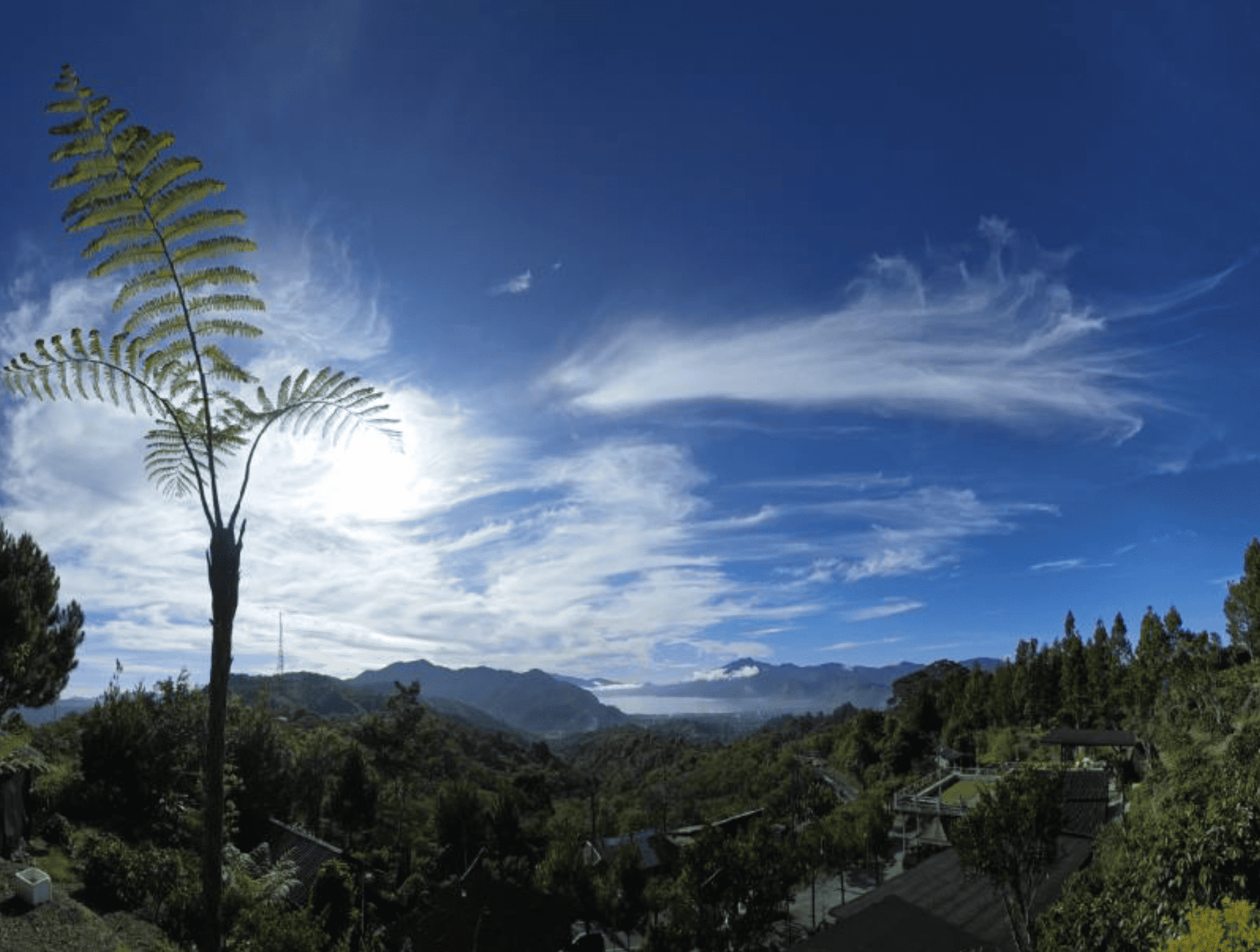 Индонезия Суматра Гайо сухой Индонезия Суматра Гайо сухой