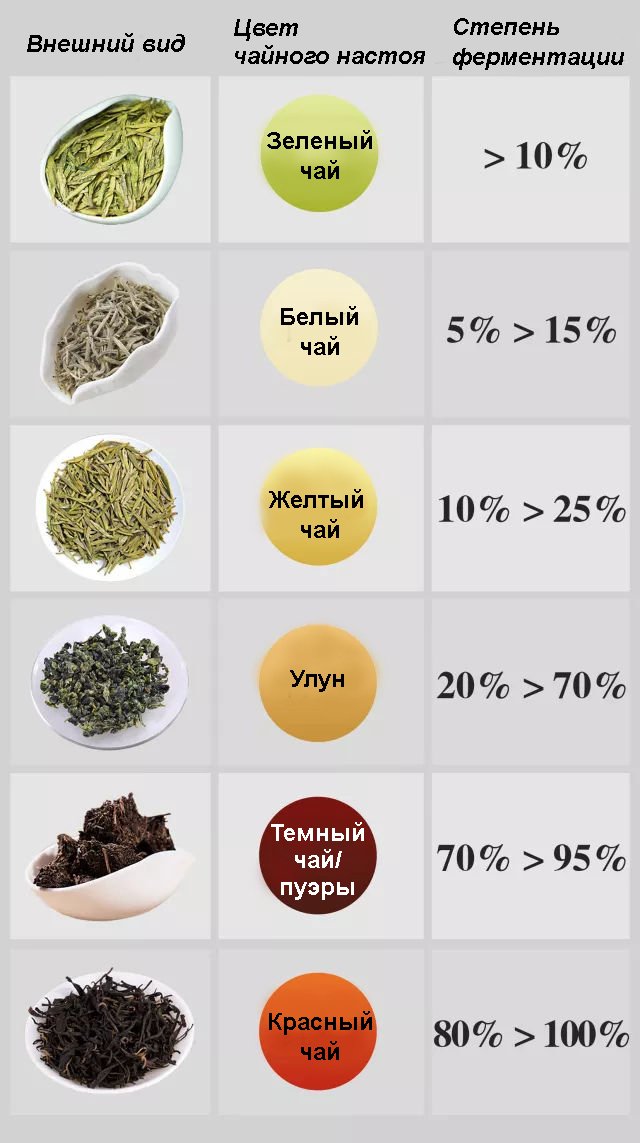 Что такое ферментация чая? Что такое ферментация чая?
