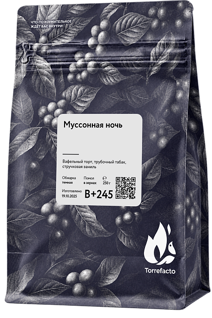 Изображение Муссонная ночь X 245