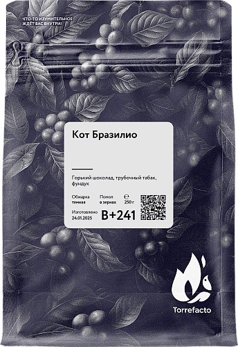 Кот Бразилио