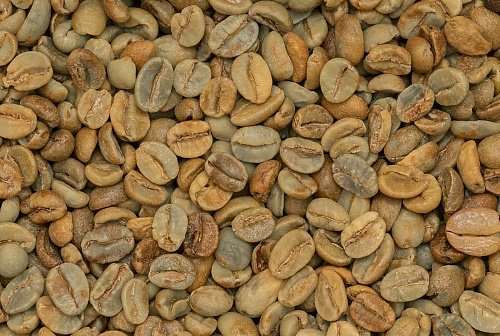 Руанда Суса Хилл анаэробный