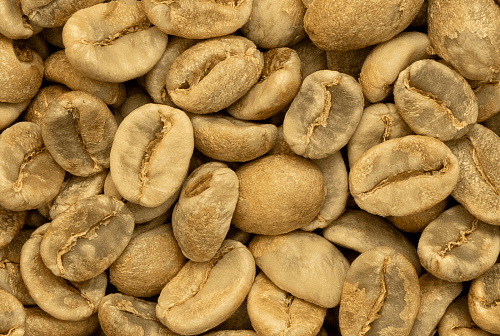 Венесуэла Карипе зеленый кофе