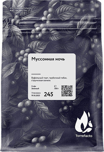 Муссонная ночь