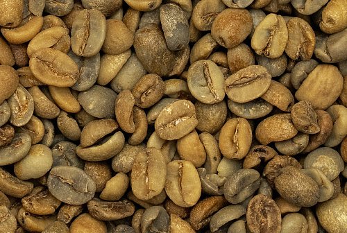 Бразилия Фанки Твист зеленый кофе