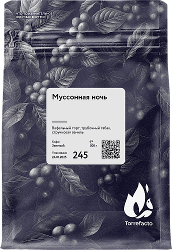 Муссонная ночь