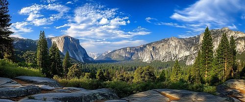 Torrefacto исполнилось 3 года