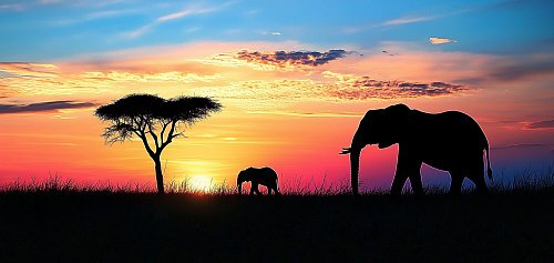 Интересные новинки в группах B и C