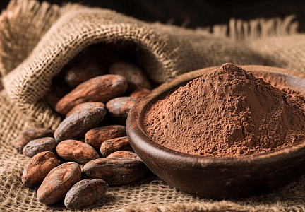 Какао-бобы - какие продукты из какао бывают и как их использовать