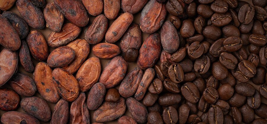 Изображение для Кофе и какао – два родственных мира?