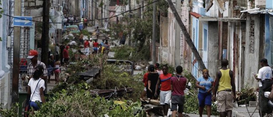 Изображение для Природа и кофе: ураган Сэнди нанес удар по посадкам кофе на Кубе