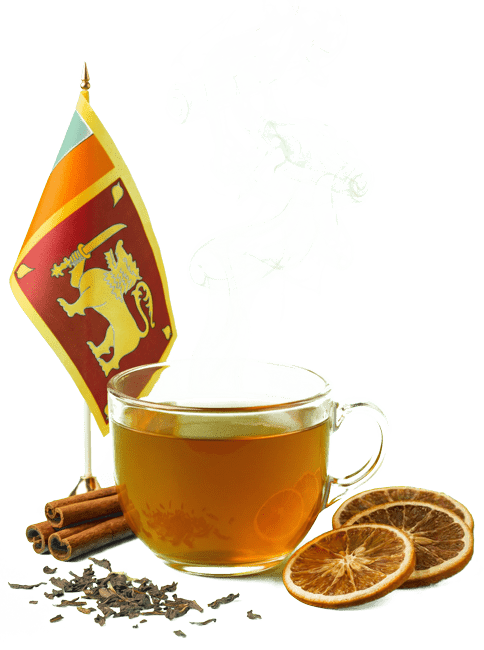 Изображение Декабрьна Шри-Ланке